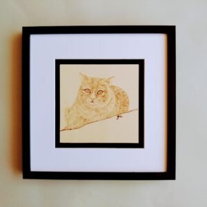 Le Chat