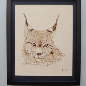 Lynx des Pyrénées